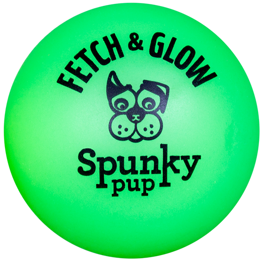 Spunky Pup Fetch and Glow Ball Dog Toy Large