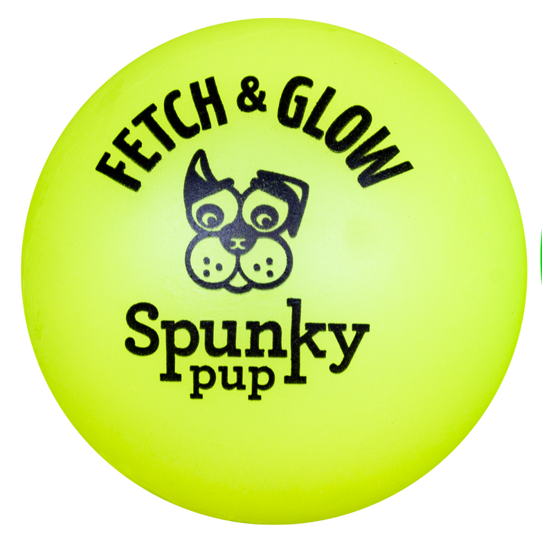 Spunky Pup Fetch and Glow Ball Dog Toy Large