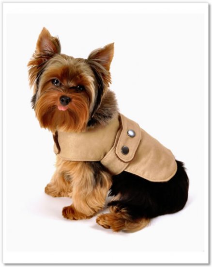 Romy and Jacob Shearling Winter Jacket Brown