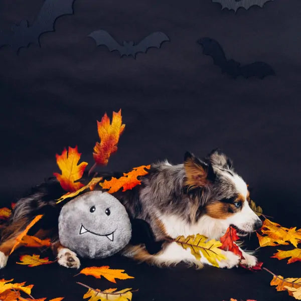 ZippyPaws Halloween Brainey Bat