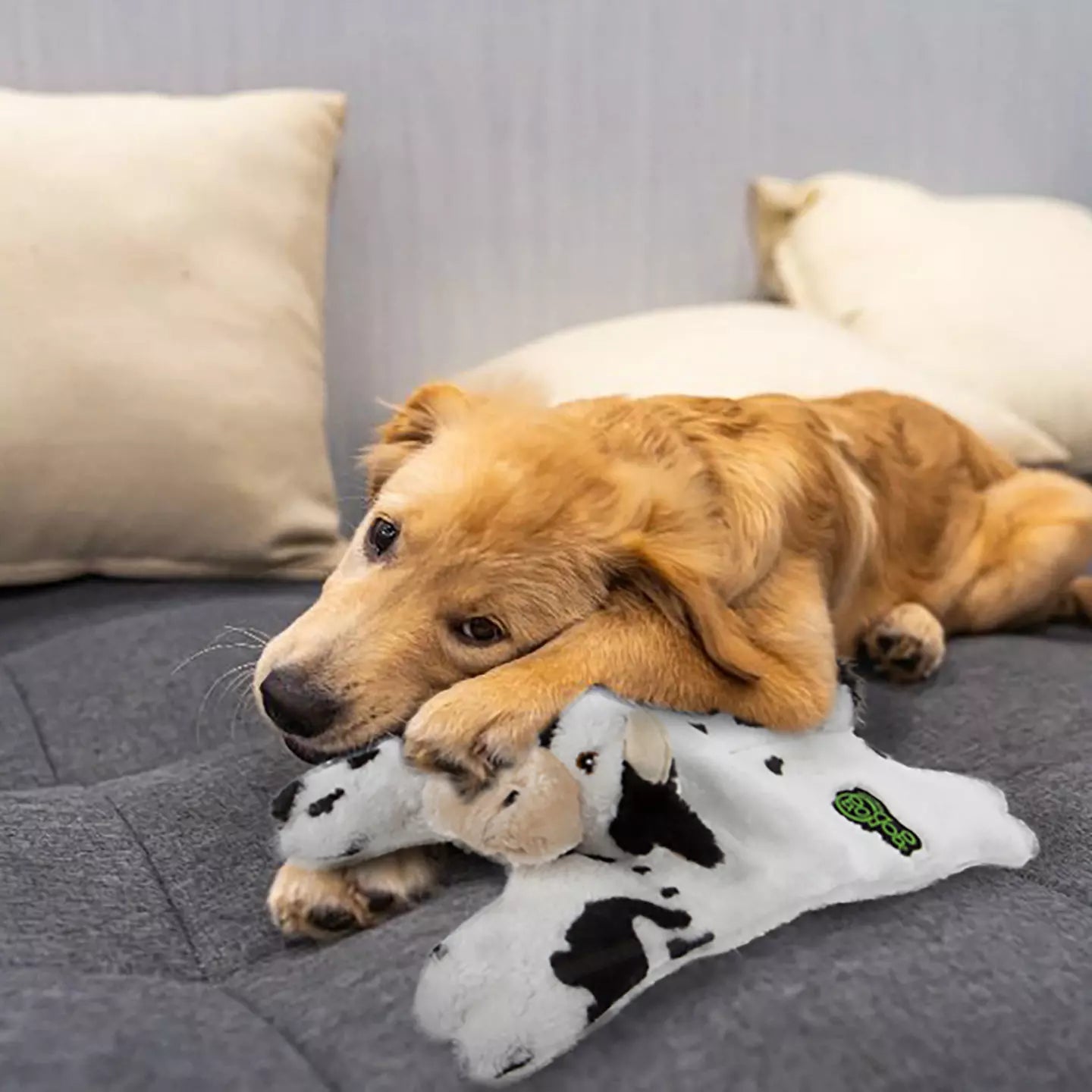 GoDog Flatz Barnyard Buddies Animals
