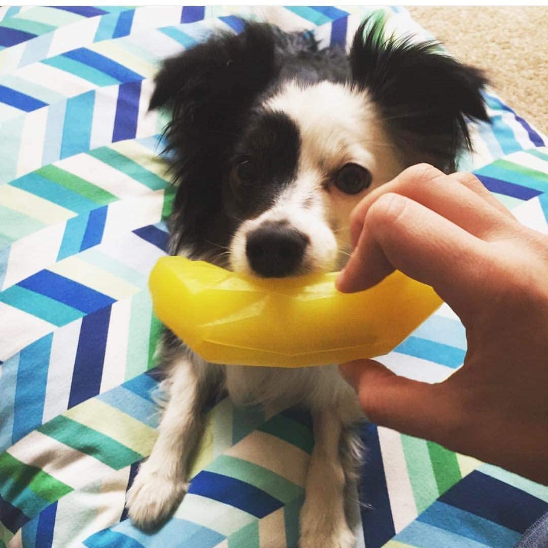 Spunky Pup Banana Treat Dispenser Dog Toy