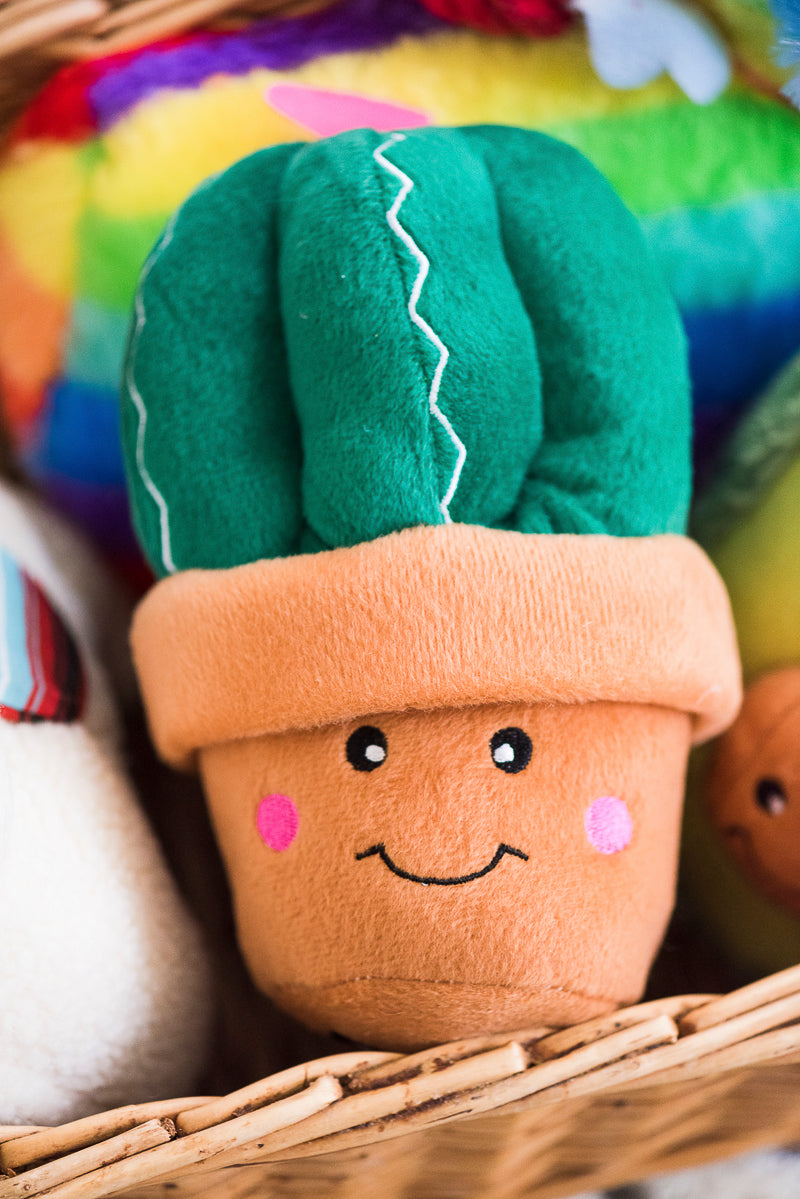 ZippyPaws Carmen the Cactus Dog Toys