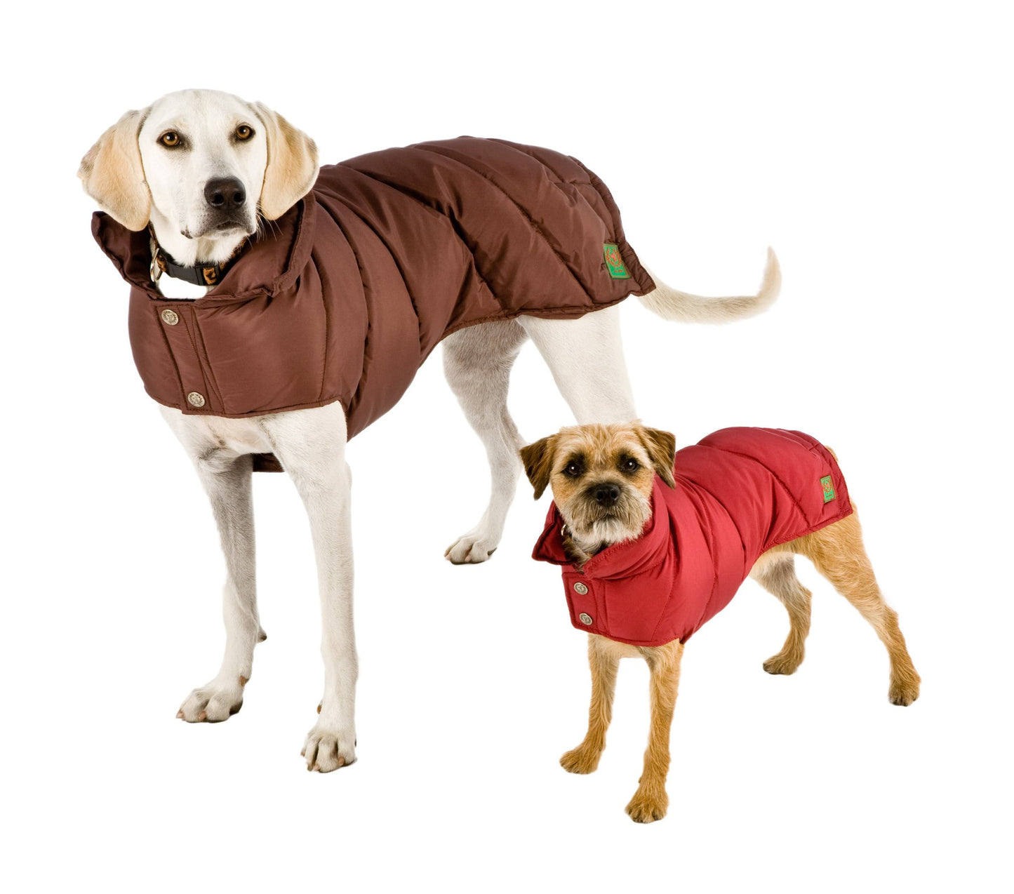 Canine Styles Down Dog Puffer Coats
