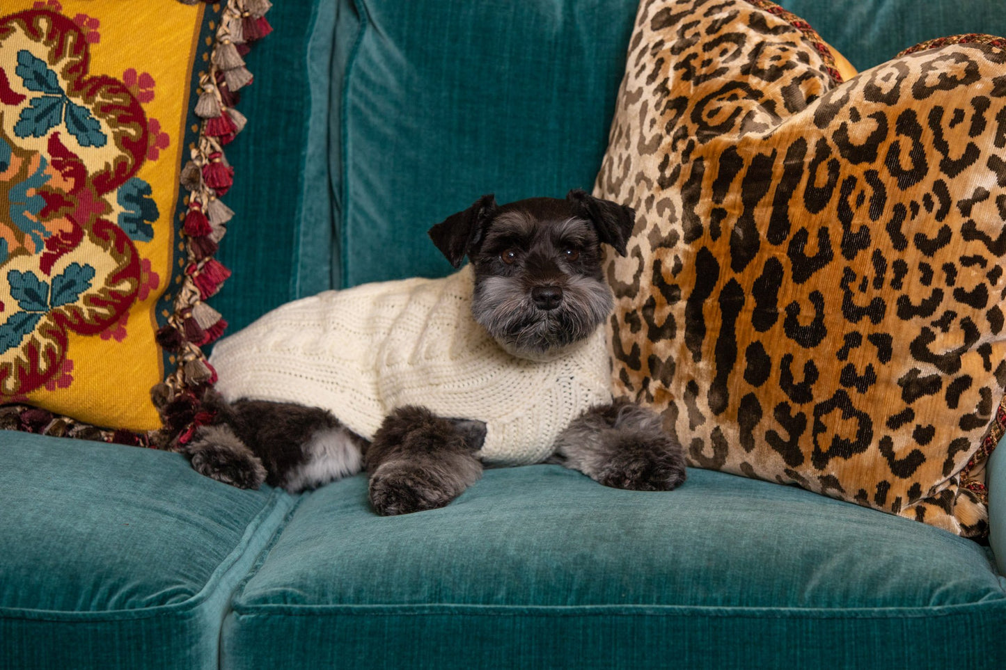 Canine Styles Hand Knitted Wool Dog Sweaters